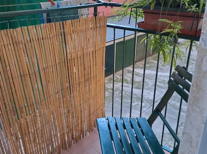 Casarina