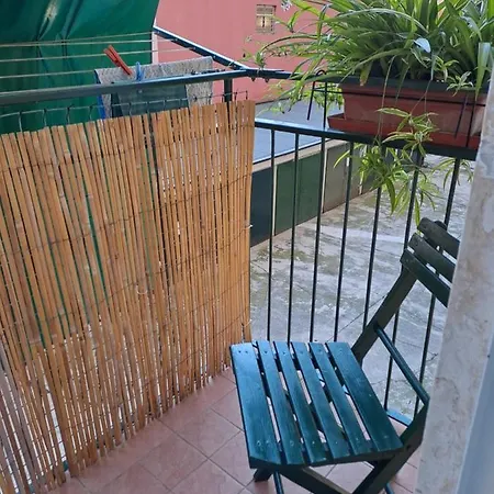 Casarina